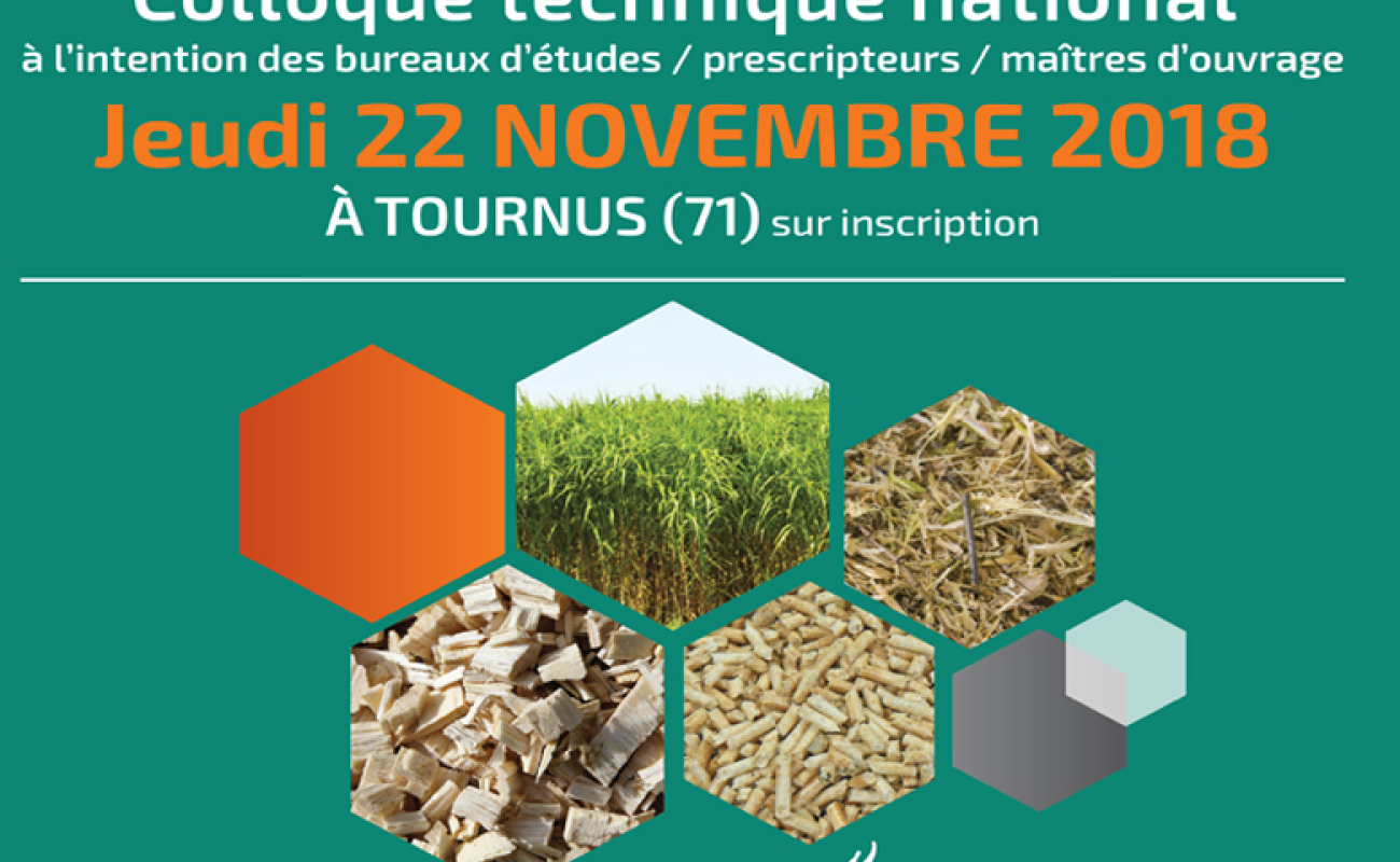 Saelen Energie, fournisseur des solutions Heizomat pour le bois-énergie, organise un Colloque national le 22 novembre prochain à Tournus (Saône-et-Loire).