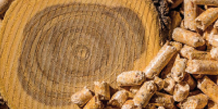 La stratégie nationale de mobilisation de la biomasse rendue publique